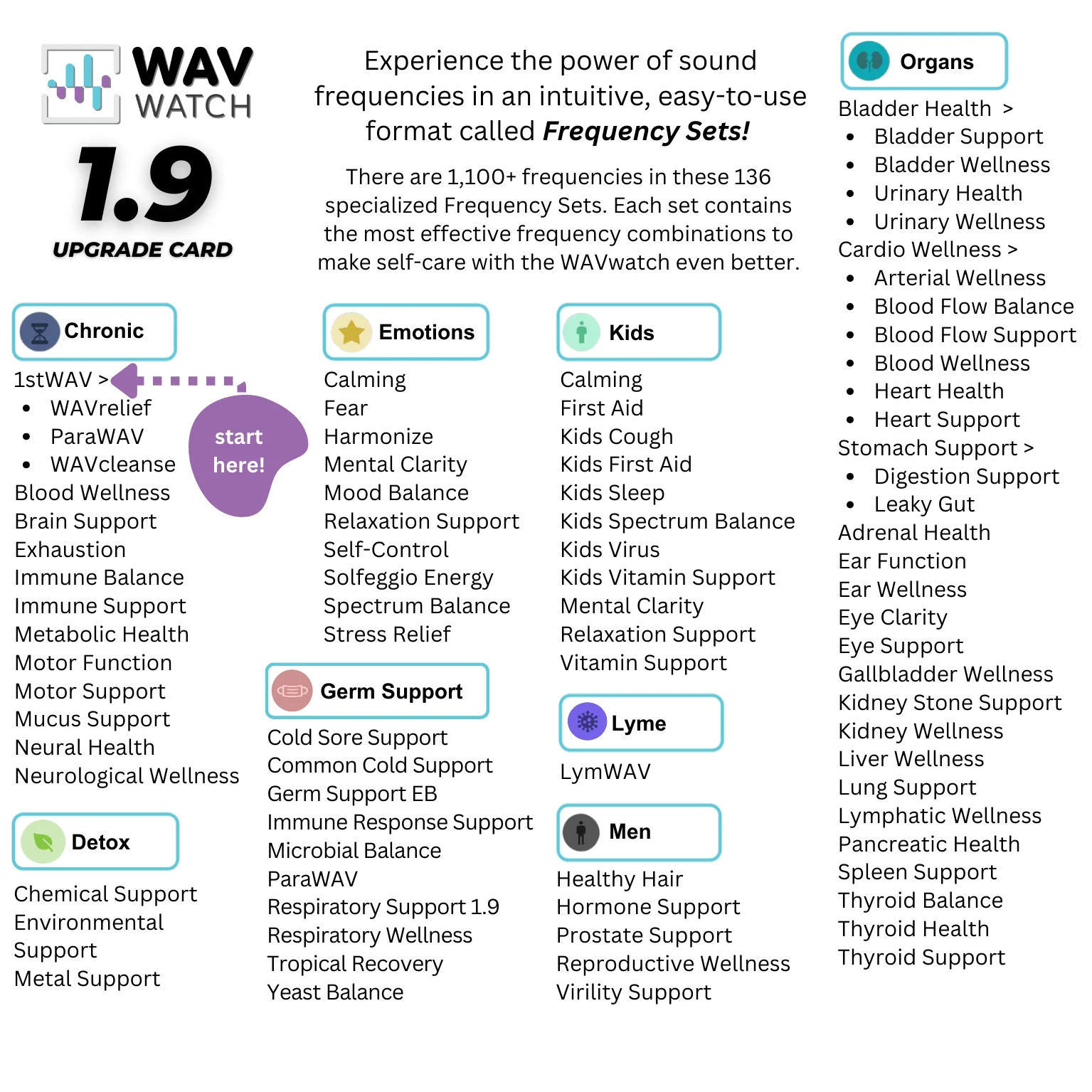 WAVwatch 1.9 Frequency Upgrade Card (for current owners of WAVwatch 1.0) - Image 3