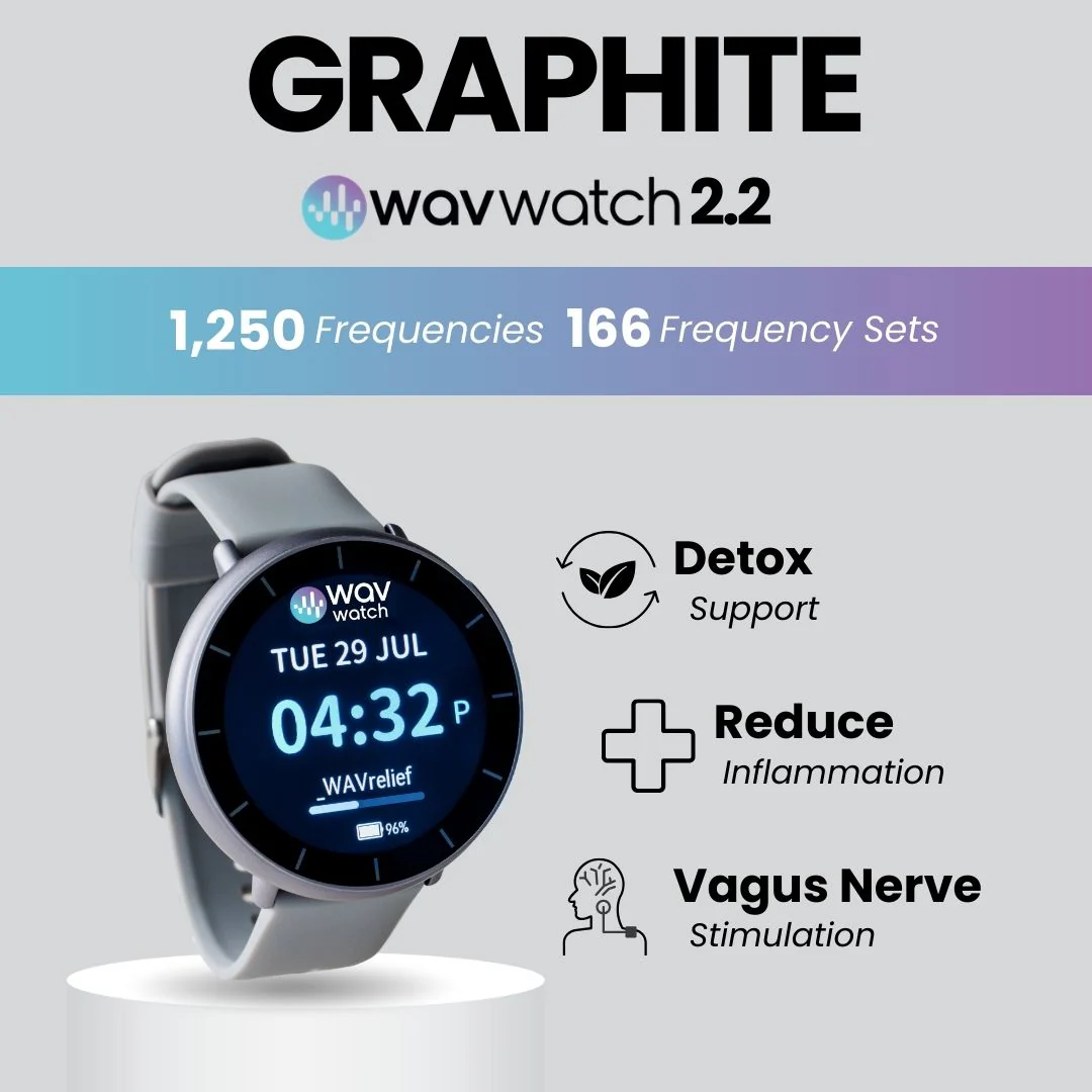 WAVwatch 2.2 - Image 13