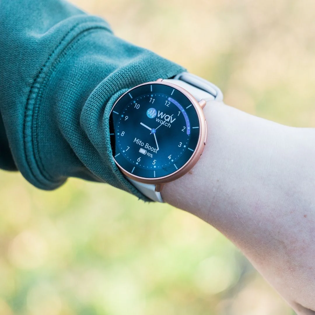WAVwatch 2.2 - Image 9